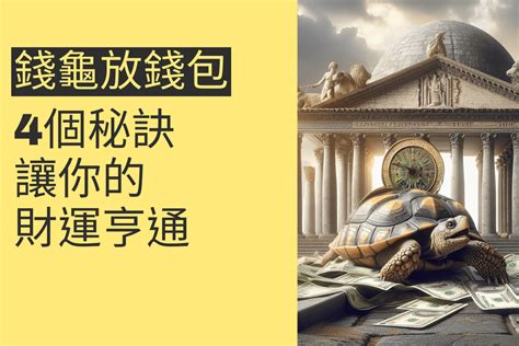 錢龜放哪裡|【錢龜怎麼放】錢龜擺放大公開！招財金錢龜御守禮盒的神奇效用。